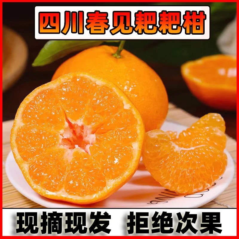 【东方薽选】四川现货春见耙耙柑多规格产地直发新鲜水果5-8斤