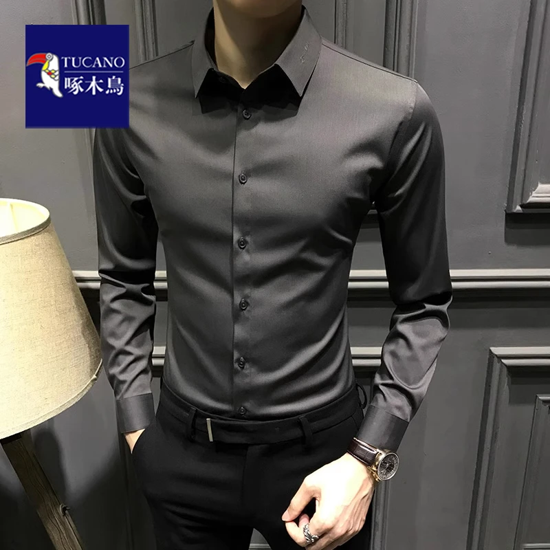 啄木鸟秋季高级衬衫男长袖新款高端痞帅免烫休闲商务衬衣男士修身