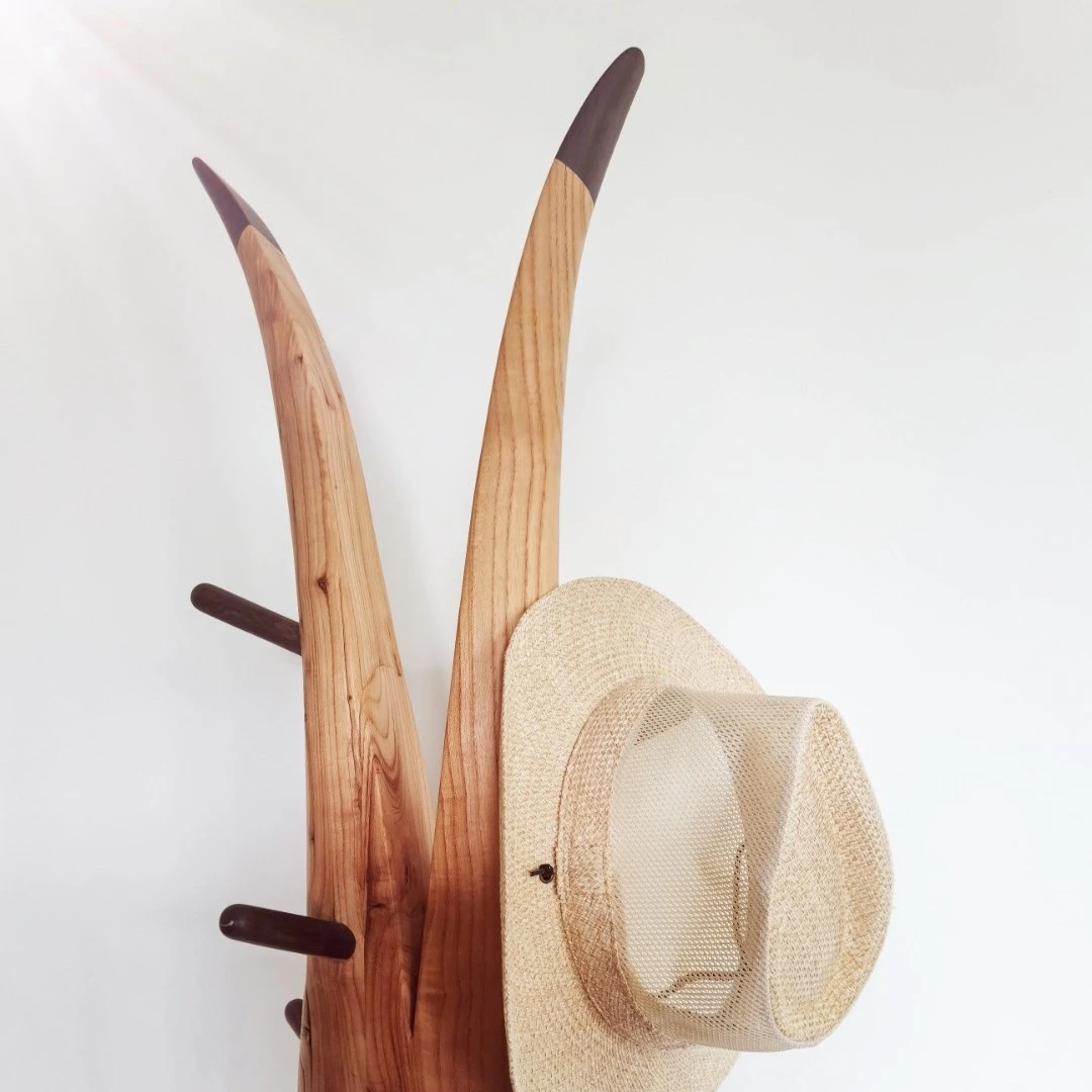 雕塑感撞色原木色衣架