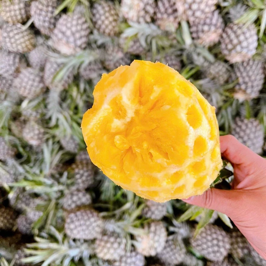 海南特色香水菠萝 礼盒包装 清爽甜香 不酸 空运包邮