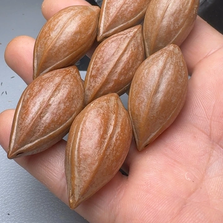 橄榄核手串橄榄核6666