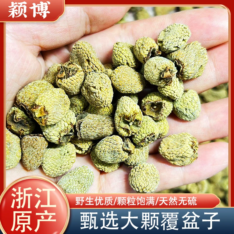 甄选原产覆盆子500g大颗粒