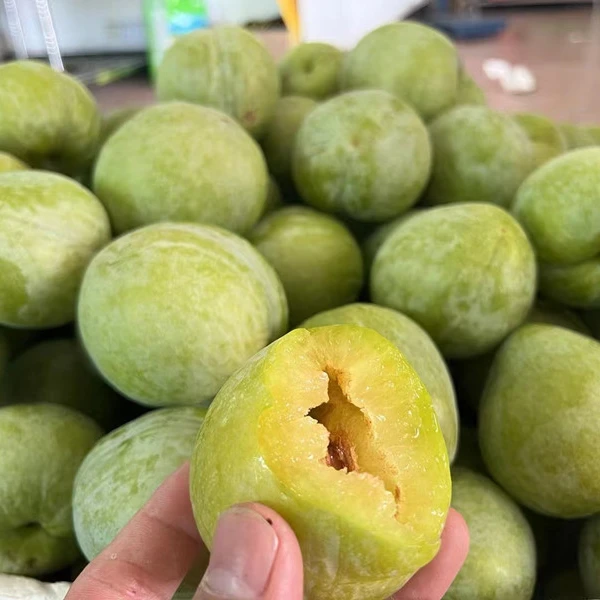 湖南汝城文明黄金奈李翡翠新鲜现摘现发孕妇应季水果脱骨蜂糖李子