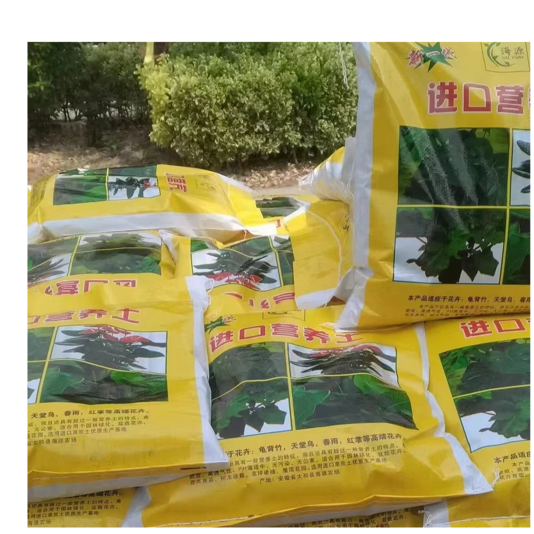 发财树基地专用进口营养土