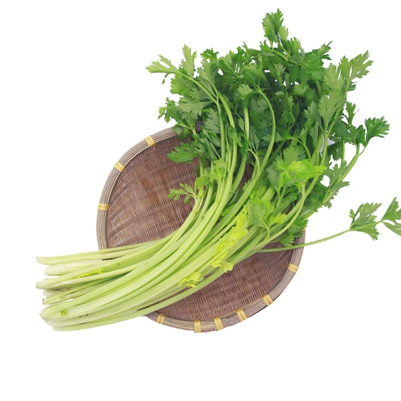 香芹 500g/份