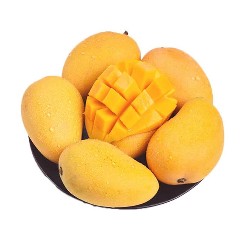 小腰芒 500g/份
