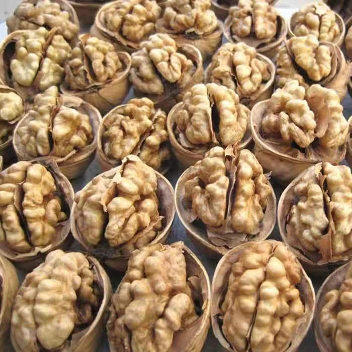 新疆185纸皮核桃薄皮核桃3斤/5斤产地直发坚果零食手捏原味核桃