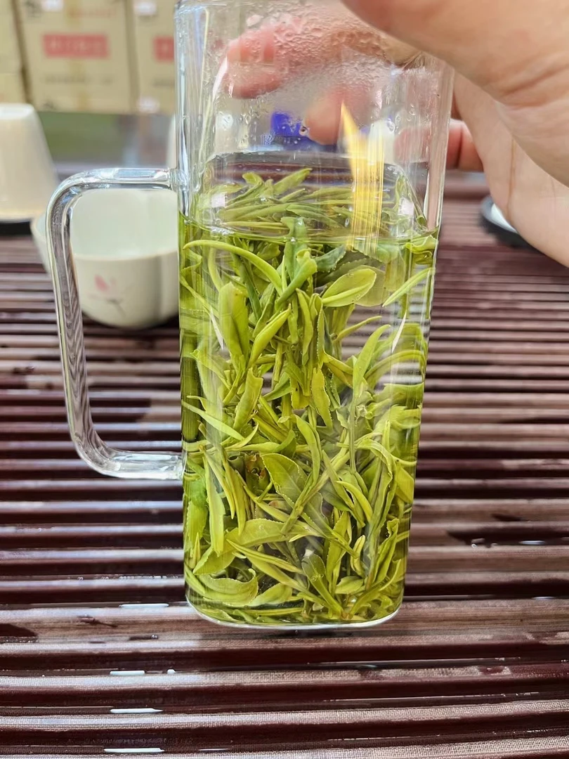 【口粮王白茶】安吉原产地 耐泡 兰花香 鲜香回甘 春茶 249款