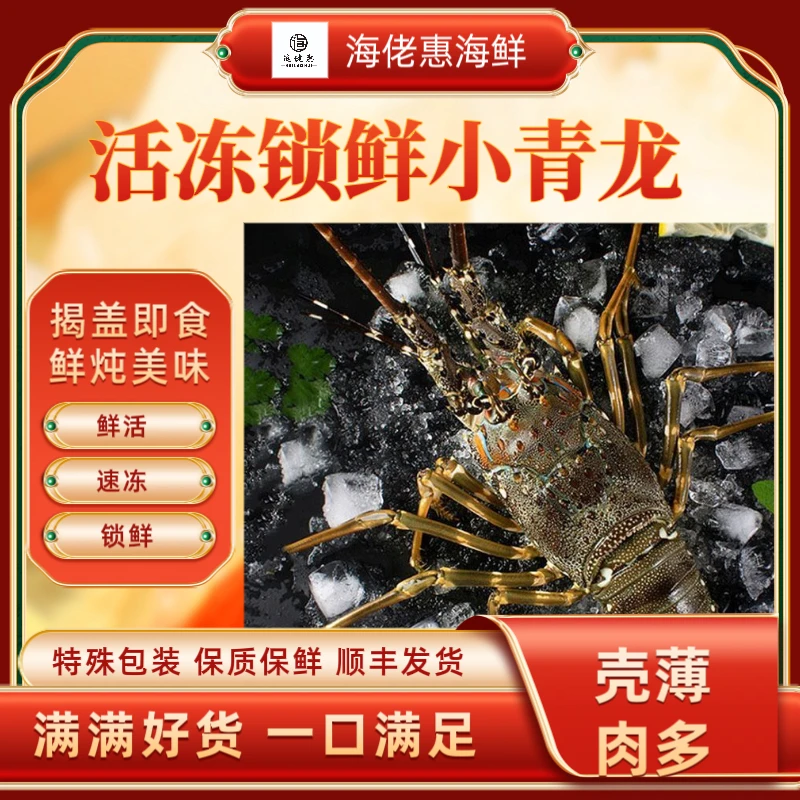 龙虾海鲜批发生猛锁鲜小青龙海捕龙虾大青龙龙虾波龙花龙澳龙红龙