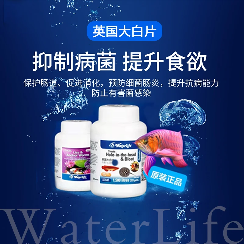 waterlife英国大白片调观赏鱼内寄肠炎鱼体肠道益生菌大白片龙域