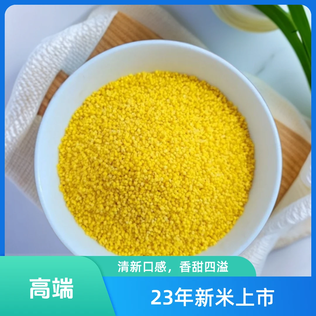 嘉禾望岗黄小米23年新小米上市内蒙古赤峰小米3斤袋装