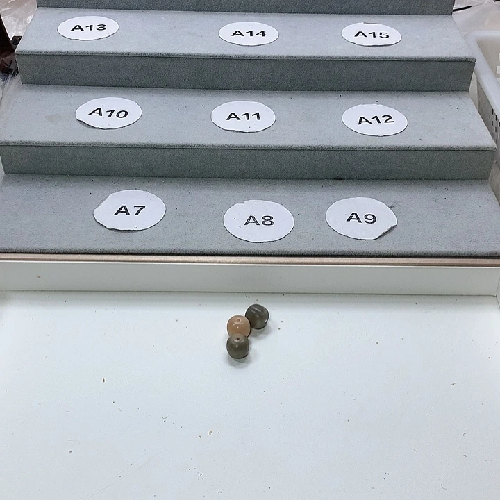 菩提根/象牙果吊坠想****~