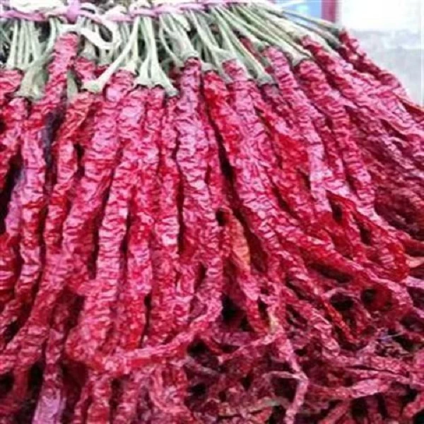 贵州毕节土特产皱椒长扎把一级辣椒中辣特香500g