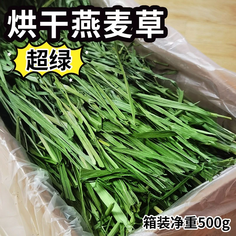 精选燕麦草烘干叶多香绿富含纤维箱装净重500g兔子龙猫干草牧草