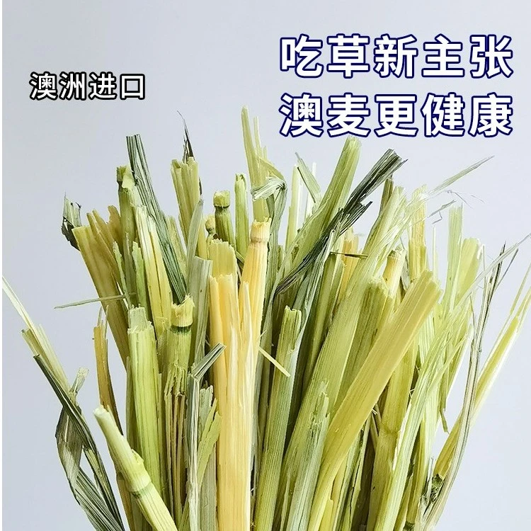 澳麦严选燕麦草手挑版5A级一番进口兔子豚鼠龙猫干草500g优质精选