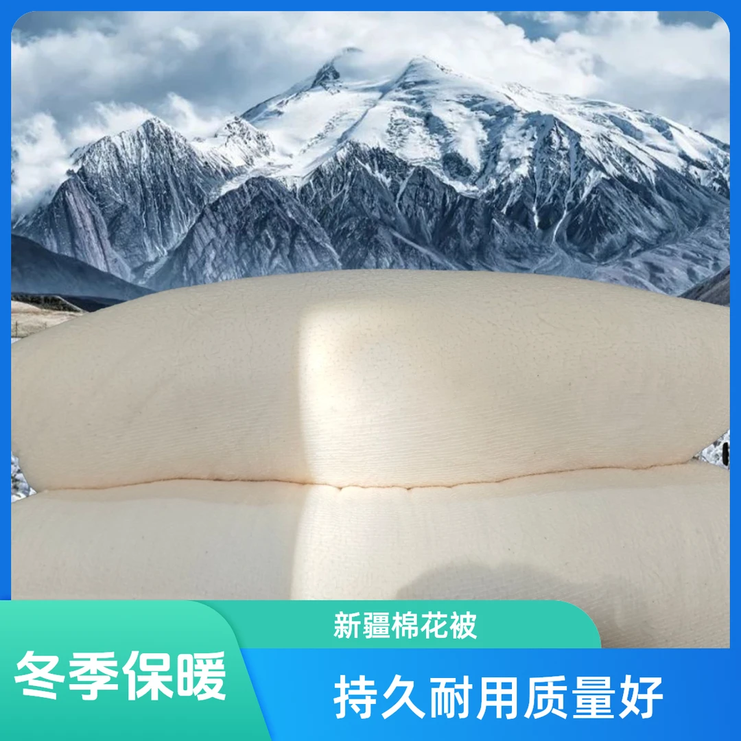10斤新疆棉花被纯棉结婚家用学生成人