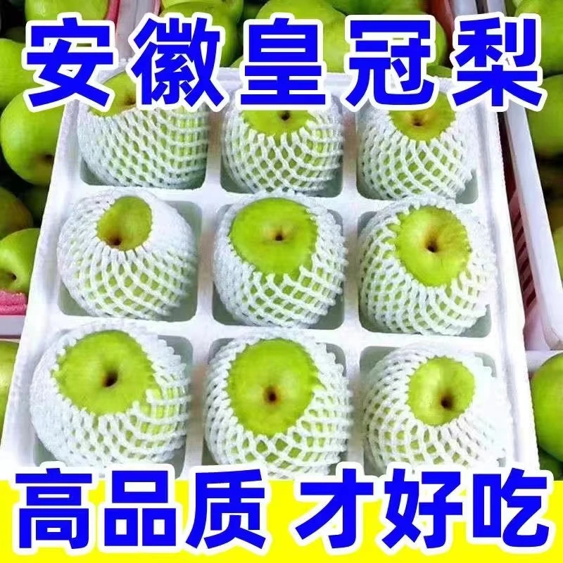 正宗砀山青梨翠玉梨青梨脆甜 皮薄 现摘现发