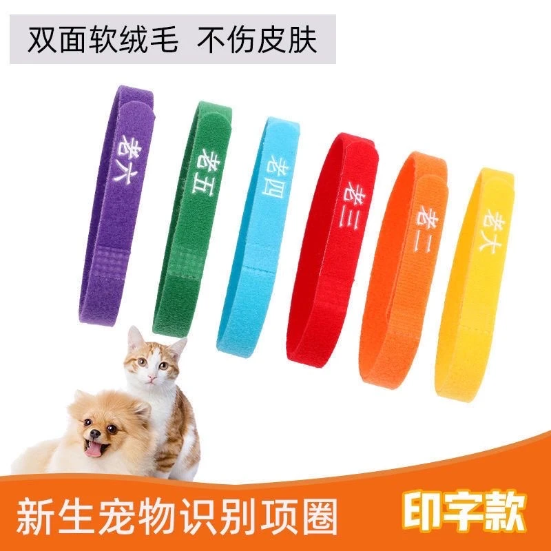 宠物分类项圈幼犬幼猫身份识别项圈新生小狗猫咪出生顺序奶狗项链
