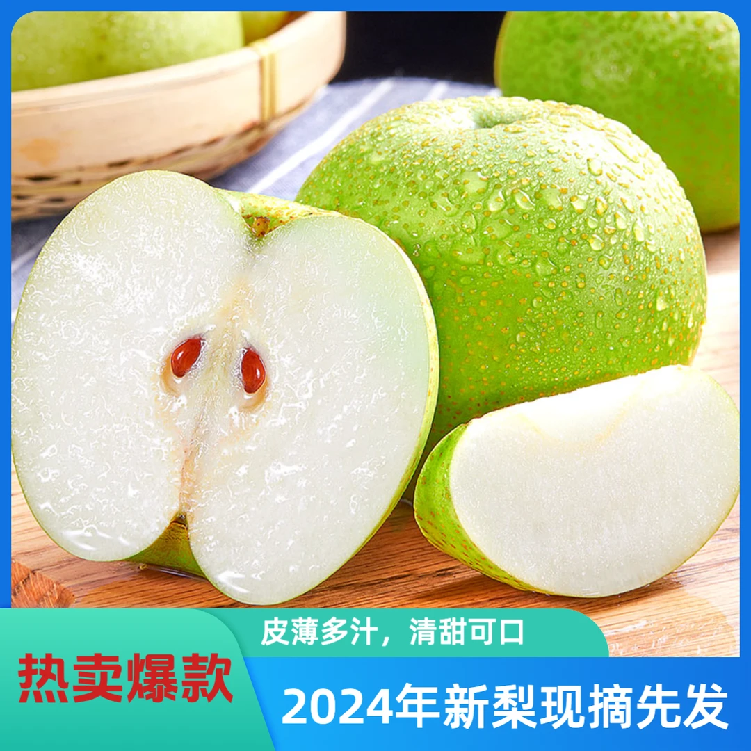 【果园直发】砀山青皮蜜梨新鲜应季超甜多汁皮薄清脆现摘现发4.5斤