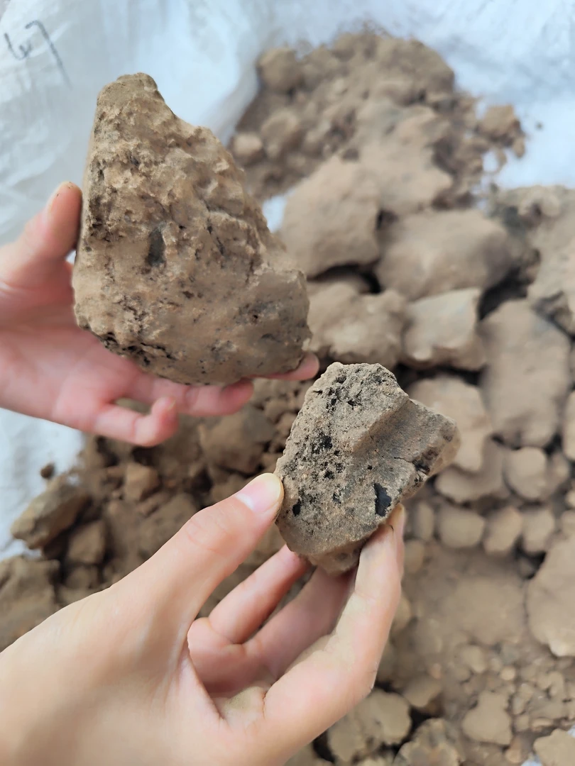 灶心土  河南土灶灶心土 伏龙干