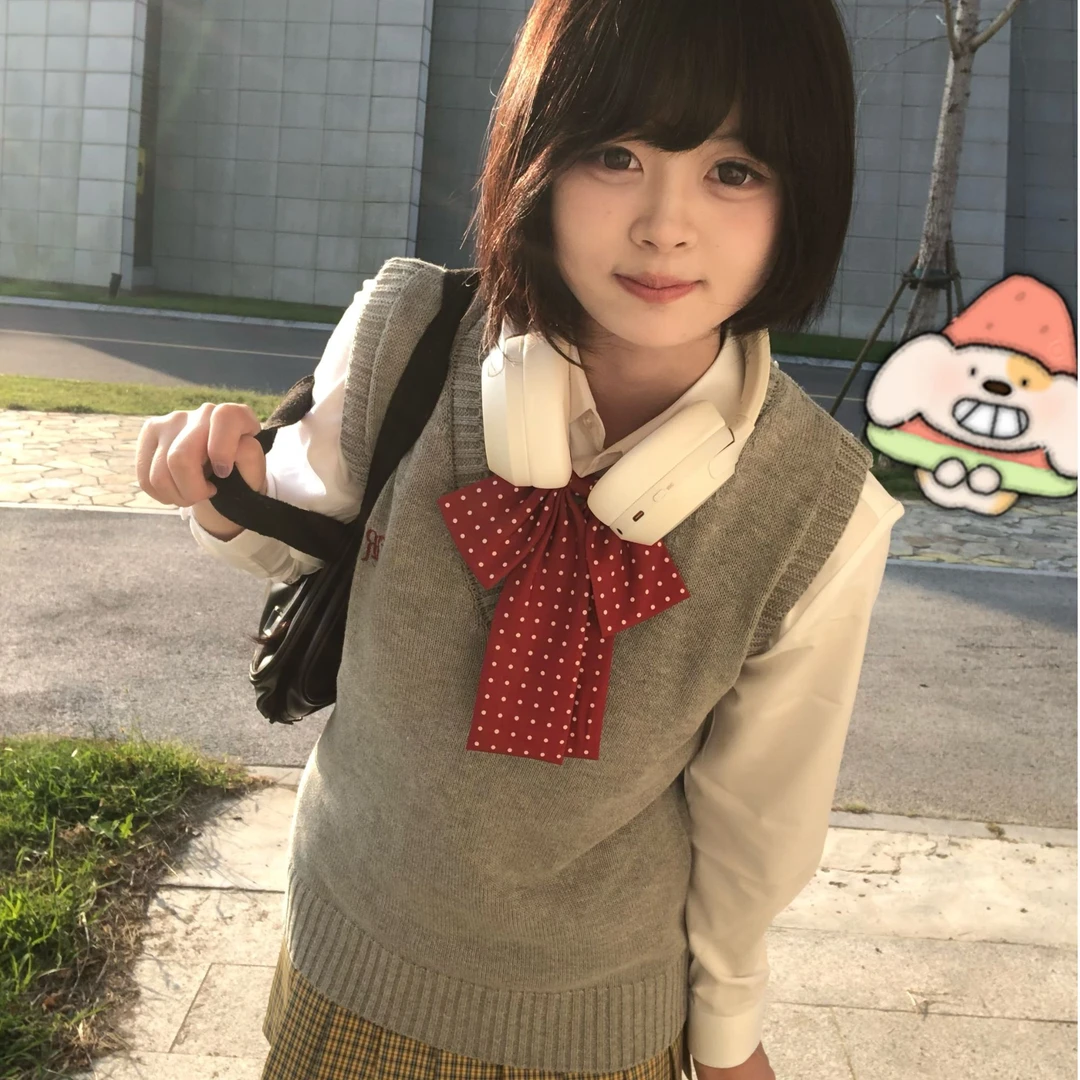 猫看花马甲正版刺绣针织jk毛衣日系学院背心女多色校供感秋冬棉质