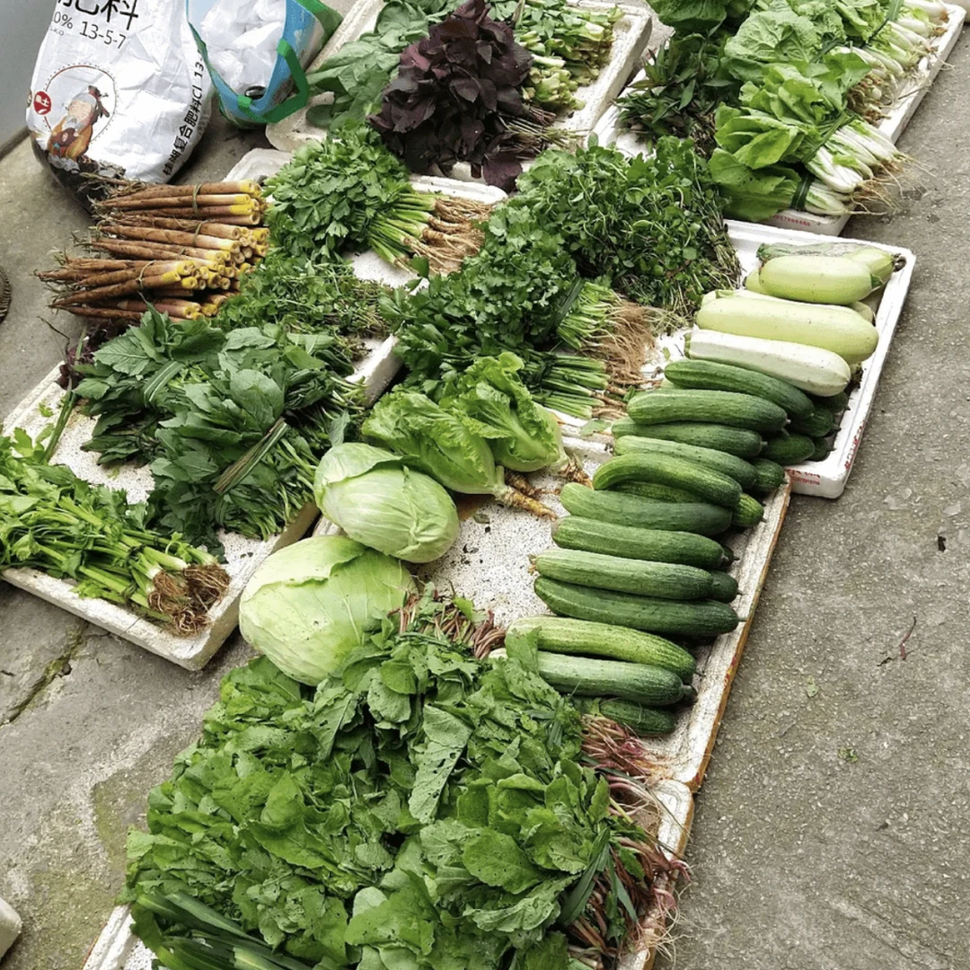 贵州黔东南本赶集（1-5）包邮