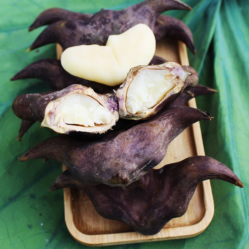 新鲜洪湖菱角 3斤装 一斤约28个左右