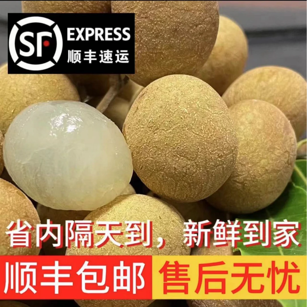 储良龙眼茂名特大果精美现踩现摘