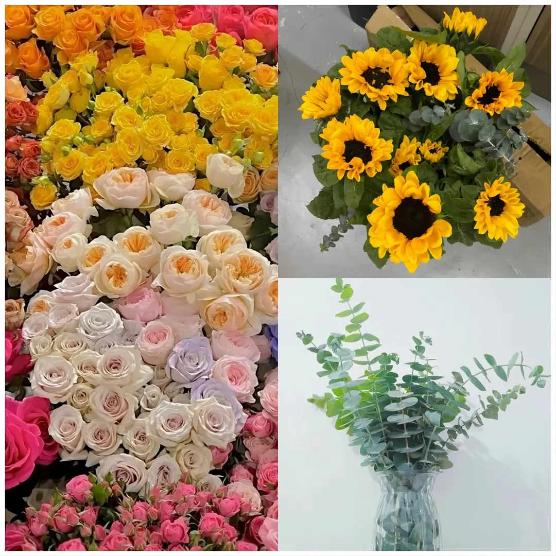 【随机玫瑰福利组合】云南鲜切花 高品质生活瓶插花 玫瑰花束鲜花