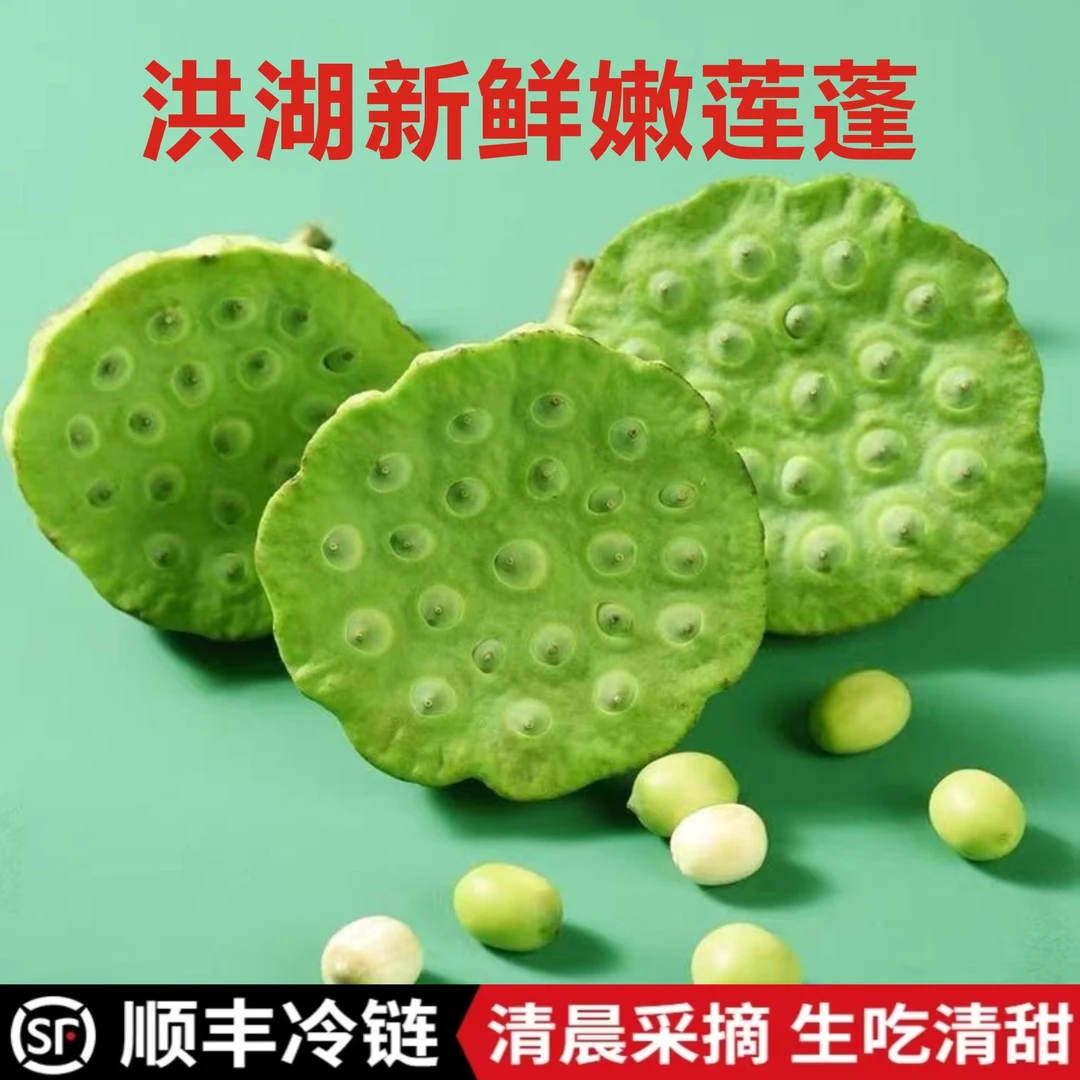 顺丰包邮湖北洪湖新鲜嫩莲蓬水果莲蓬现摘现发剥开即食1斤2斤3斤