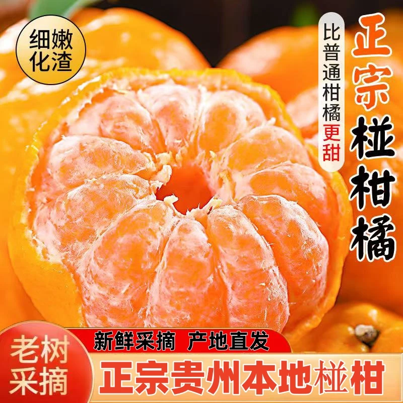 【九甜一酸】现摘现发贵州椪柑橘子不打蜡天然孕妇水果新鲜甘甜可口