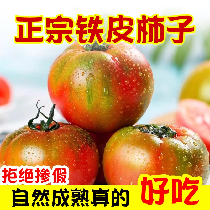 包邮铁皮西红柿新鲜西红柿小时候的口感酸甜自然现摘现发