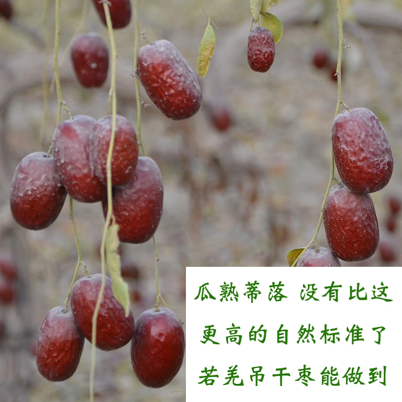 新疆若羌灰枣树上吊干红枣原生态无清洗无添加自产自销包邮