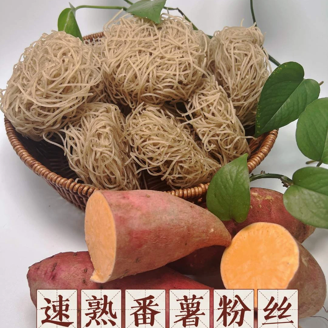 惠州特产 惠东速熟番薯粉丝 粉条升级版 好煮韧滑香60g/饼