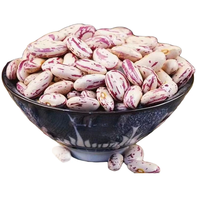 2023年长颗粒奶花芸豆贵州花芸豆长奶花芸豆白花奶豆酸菜豆米2斤