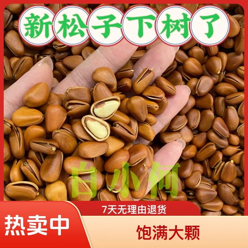 开口红松子850颗粒土特产饱满大颗营养原味