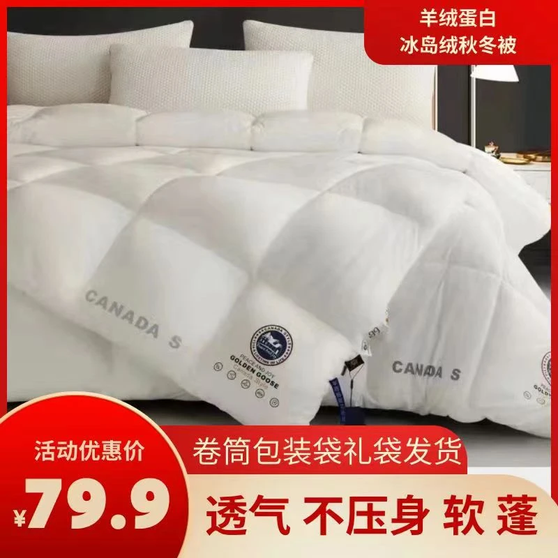 【试睡30天】羊绒蛋白被 保暖亲肤超柔被子高级感轻奢加厚磨绒冬被