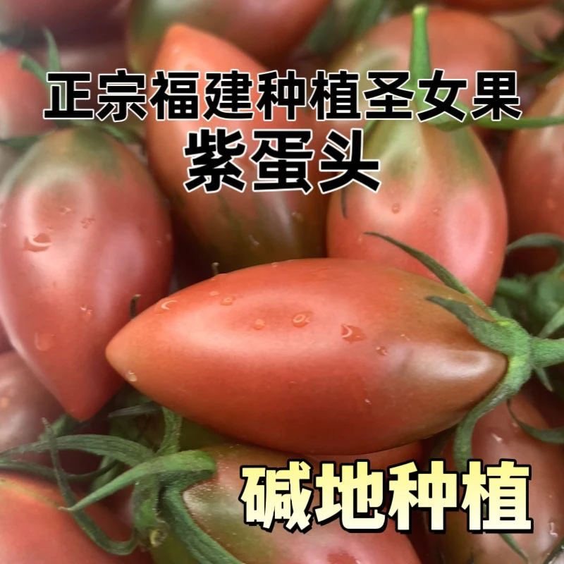 福建子弹头番茄圣女果小西红柿新鲜当季水果青口包邮