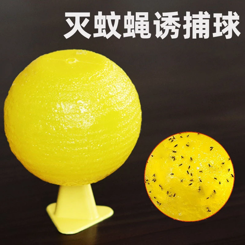 粘虫球粘蝇餐厅饭店家用驱蚊神器诱捕小飞虫灭杀果蝇蚊子苍蝇克星