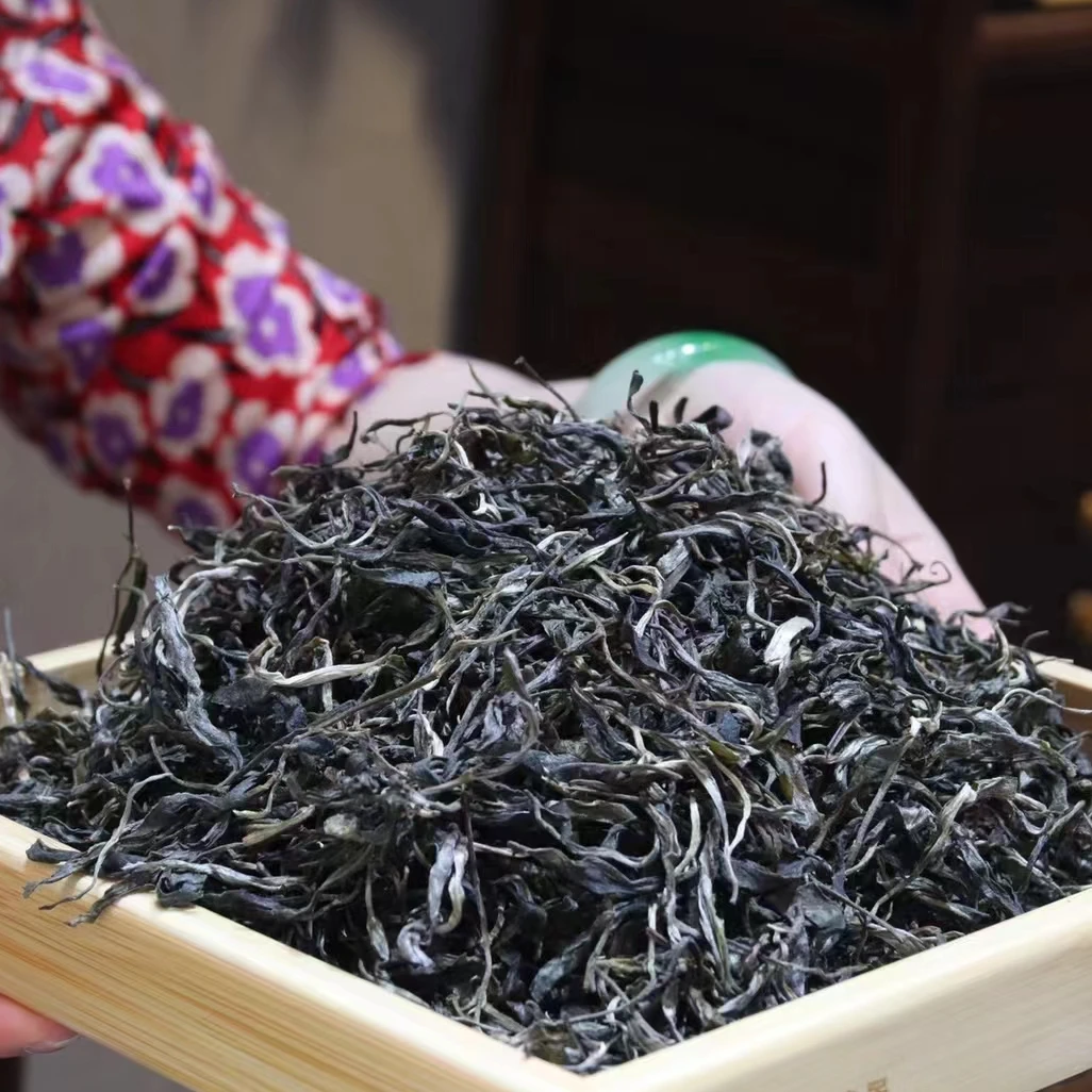 2024年易武正山 古树茶 头春 普洱茶生茶