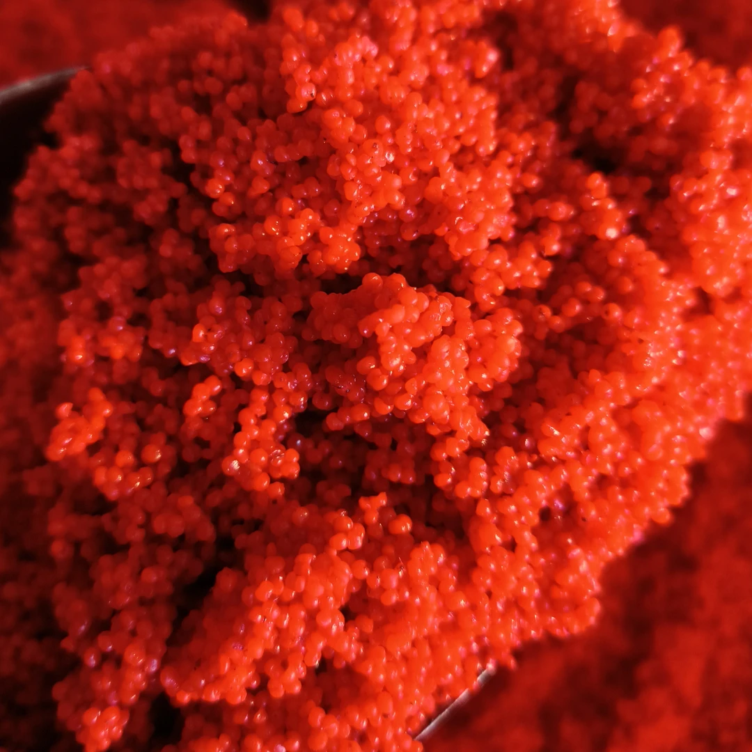 黑坑钓鱼中药米鱼饵鲤鱼