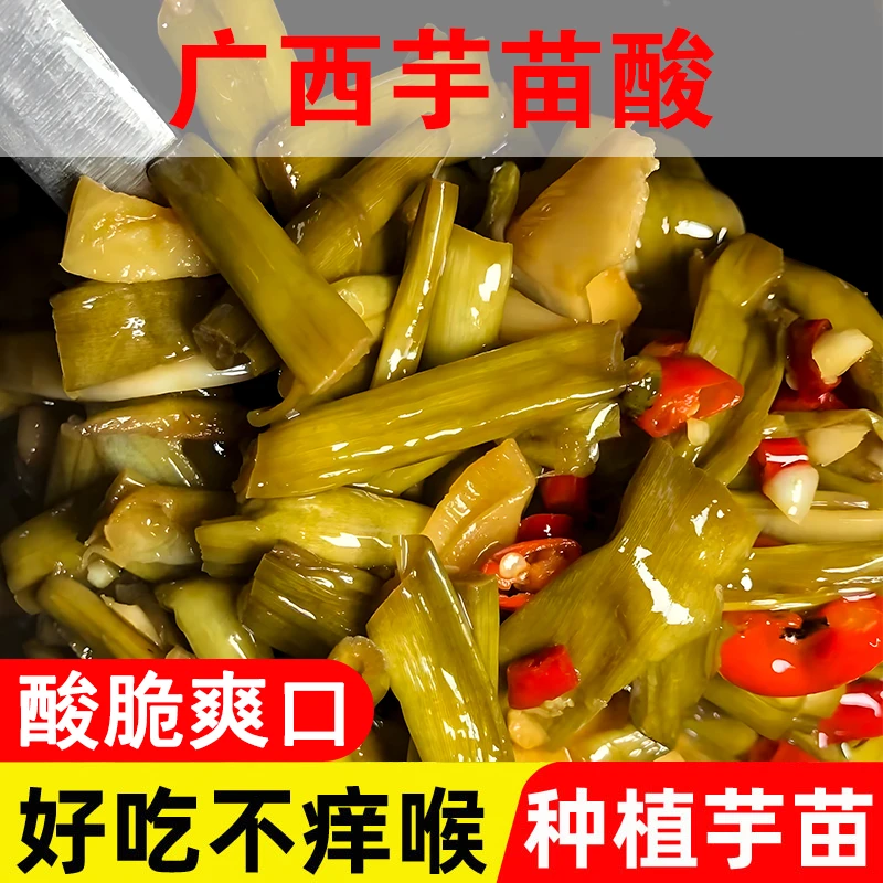 广西特产酸辣芋苗酸芋蒙干酸芋苗芋头梗芋荷酸菜酸笋开胃下饭菜
