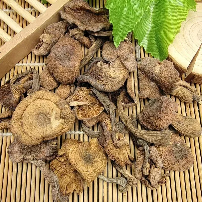 野生大片榛蘑500g东北特产农家自然晾晒肉厚无根食用菌散装干货