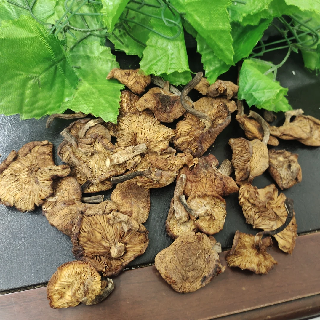 新货野生精品榛蘑大片500g东北特产无根肉厚菌菇散装干货小鸡炖蘑