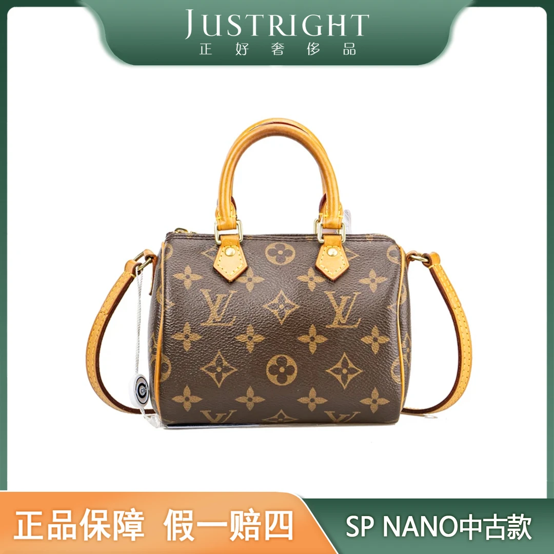 95新 LouisVuitton/路易威登 Speedy NANO/中古款枕头/后换植柔革