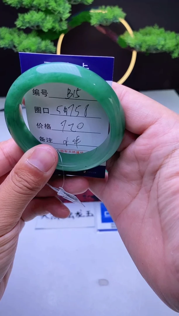 【闪购商品】石英质玉手镯未镶嵌【冰澜珠宝】-序号15