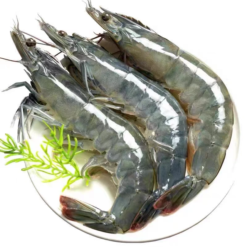 4斤/盒 海水大虾 14-16CM 活虾新鲜速冻锁鲜鲜嫩紧实皮薄冷冻配送