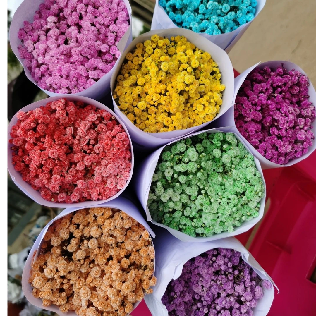 网红满天星花束超大束成品鲜花情人节送女友闺蜜表白生日礼物鲜花