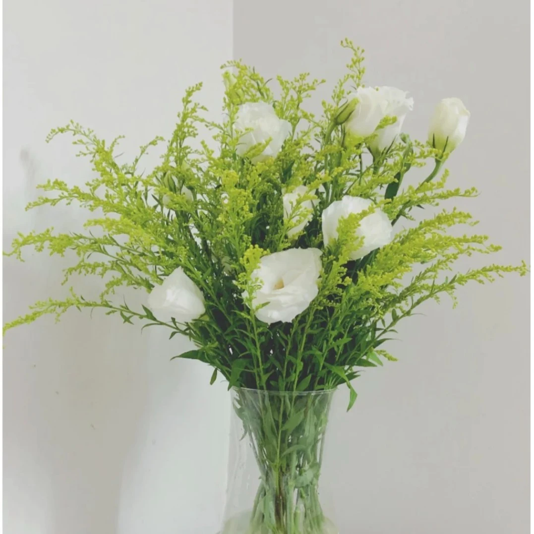 昆明斗南鲜花洋桔梗混搭花束鲜切花家庭花瓶插花【京东空运包邮】