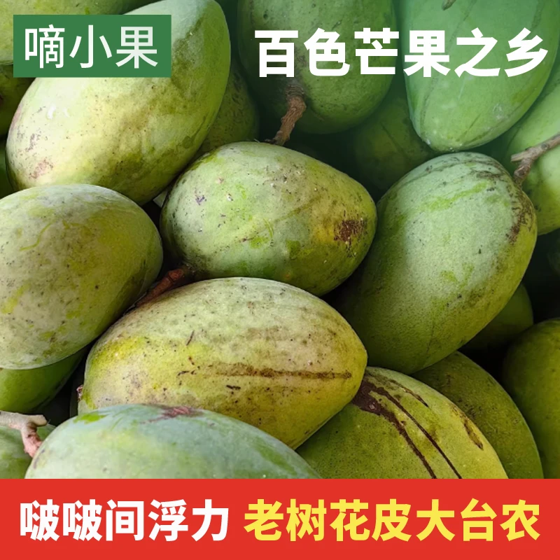 正宗广西百色大台农芒果花皮九斤直供果园产地采摘新鲜果香大果